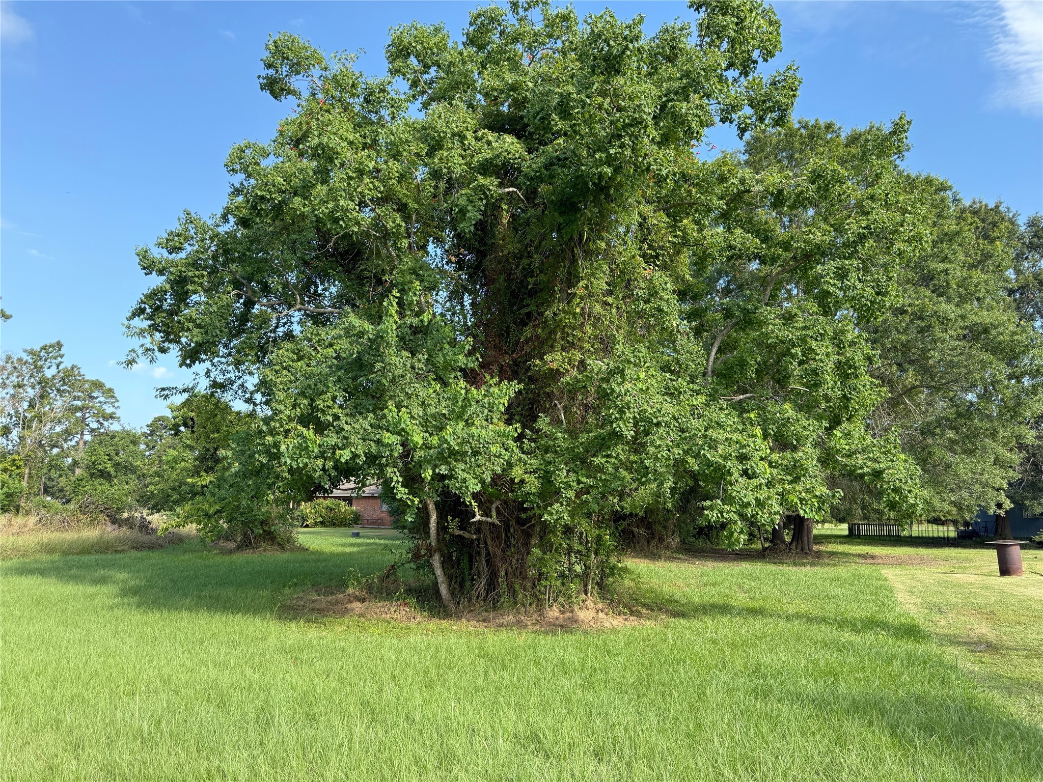 0 Highcrest Drive Point Blank, TX 77364 - Photo 2 of 7