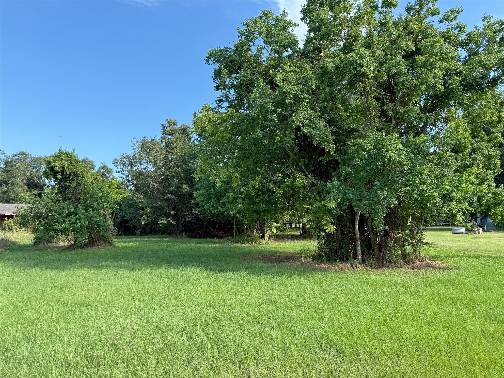 0 Highcrest Drive Point Blank, TX 77364 - Photo 3 of 7