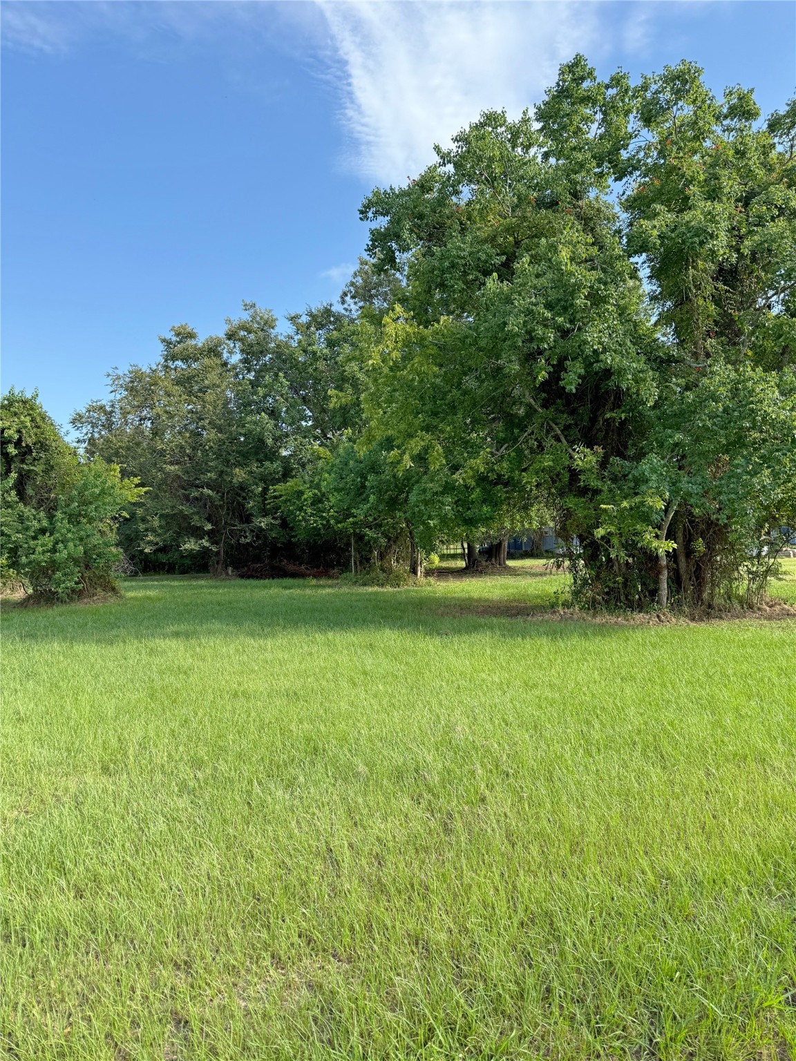 0 Highcrest Drive Point Blank, TX 77364 - Photo 5 of 7