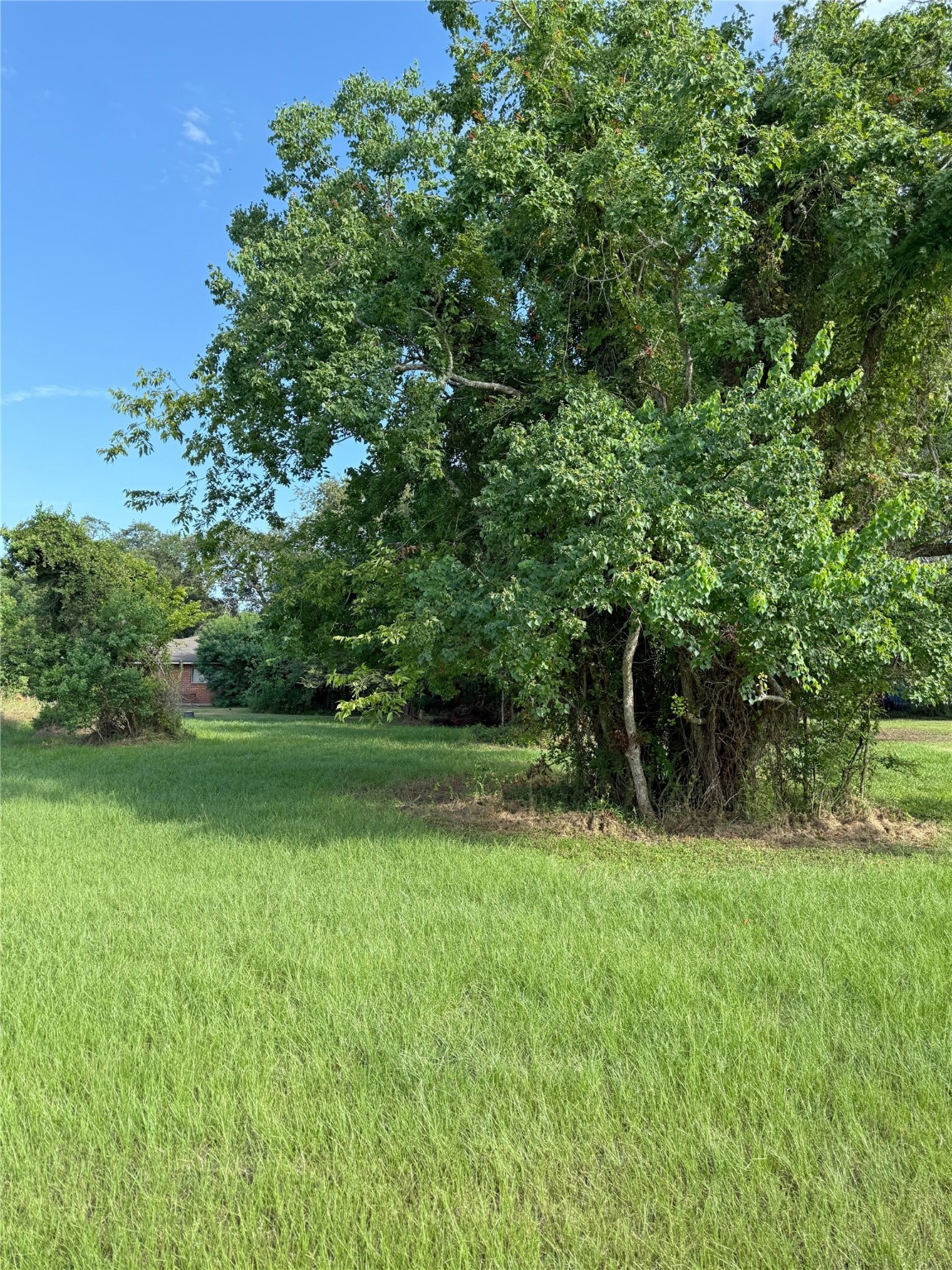 0 Highcrest Drive Point Blank, TX 77364 - Photo 6 of 7