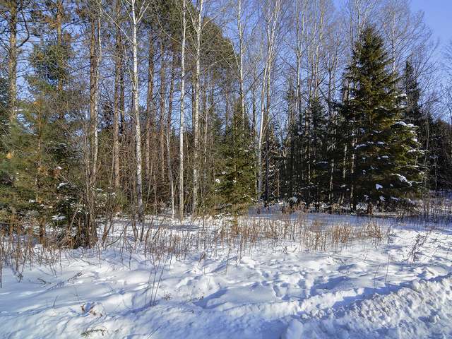 Lot 2 Coveyville Road Phelps, WI 54554 - Photo 2 of 13 Gallery Image 2