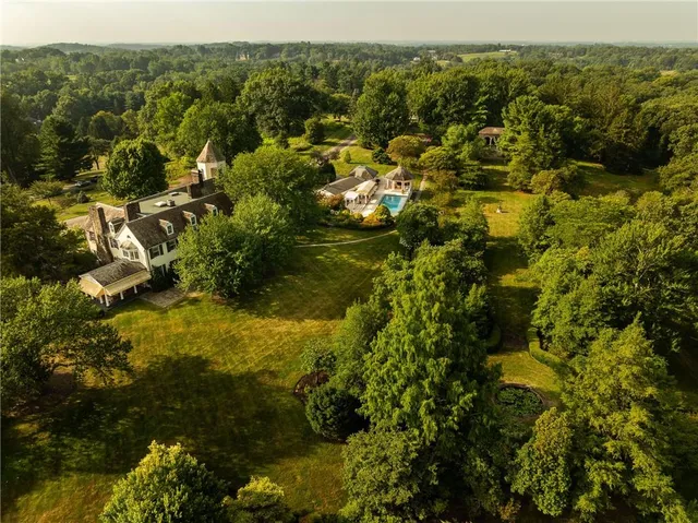 a view of a lake with a forest