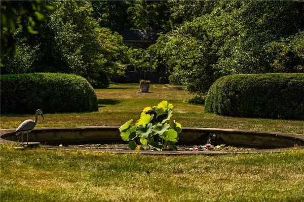 a view of a garden with a bench