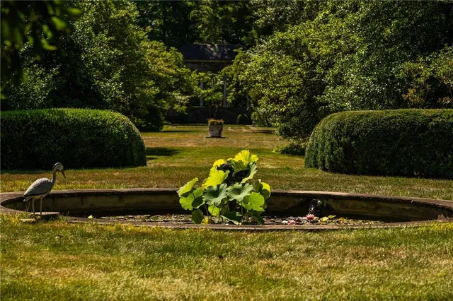 a view of a garden with a bench