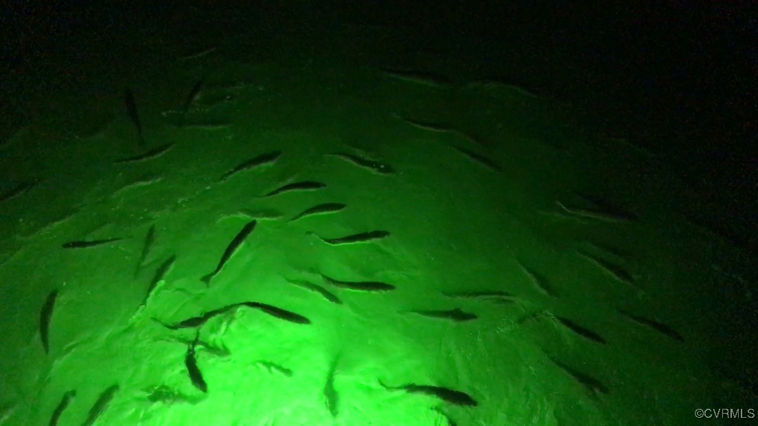 1388 South N End Road Deltaville, VA 23043 - Photo 49 of 50 Fish light at the end of peir