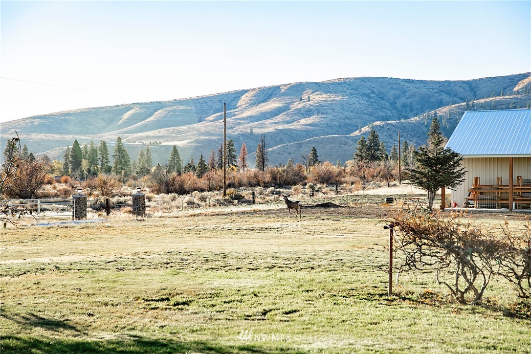 6030 Hanson Road Ellensburg, WA 98926 - Photo 29 of 32 Gallery Image 29