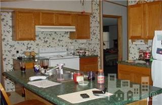 438 Old Mill Road Willard, NC 28478 - Photo 5 of 8 Additional Photo