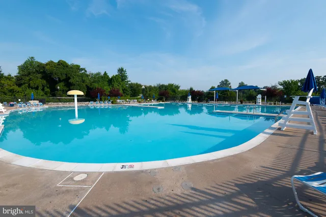 a view of a swimming pool with a yard and plants
