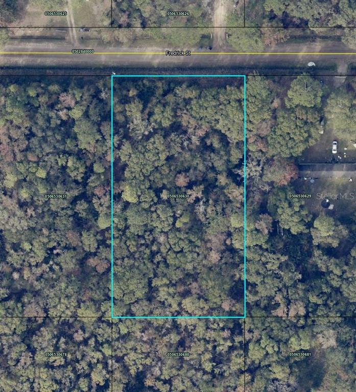 4525 Frederick Street Hastings, FL 32145 - Photo 1 of 3