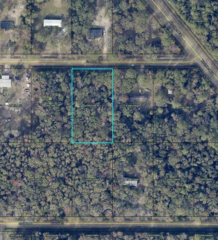 4525 Frederick Street Hastings, FL 32145 - Photo 2 of 3