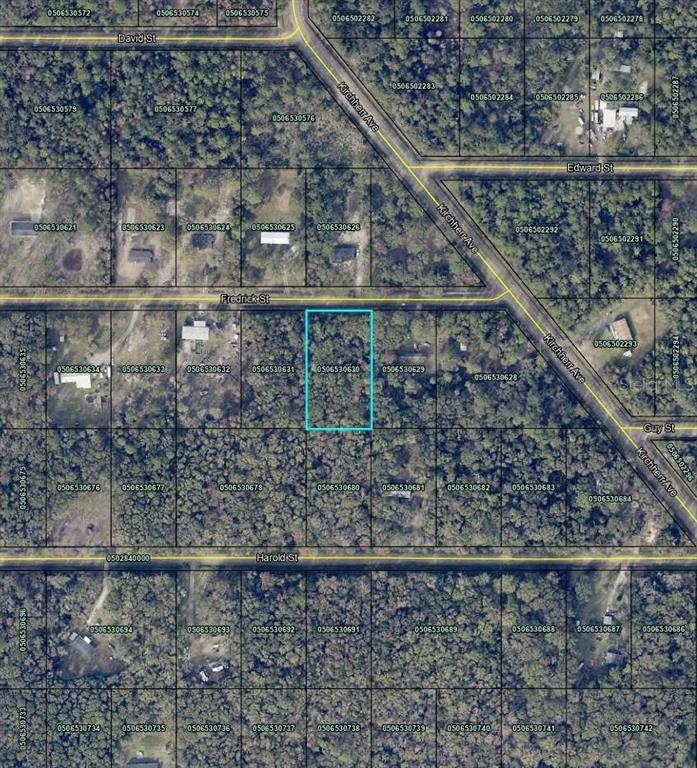 4525 Frederick Street Hastings, FL 32145 - Photo 3 of 3