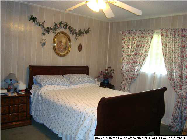 36359 Cane Market Road Denham Springs, LA 70706 - Photo 9 of 10 Gallery Image 9