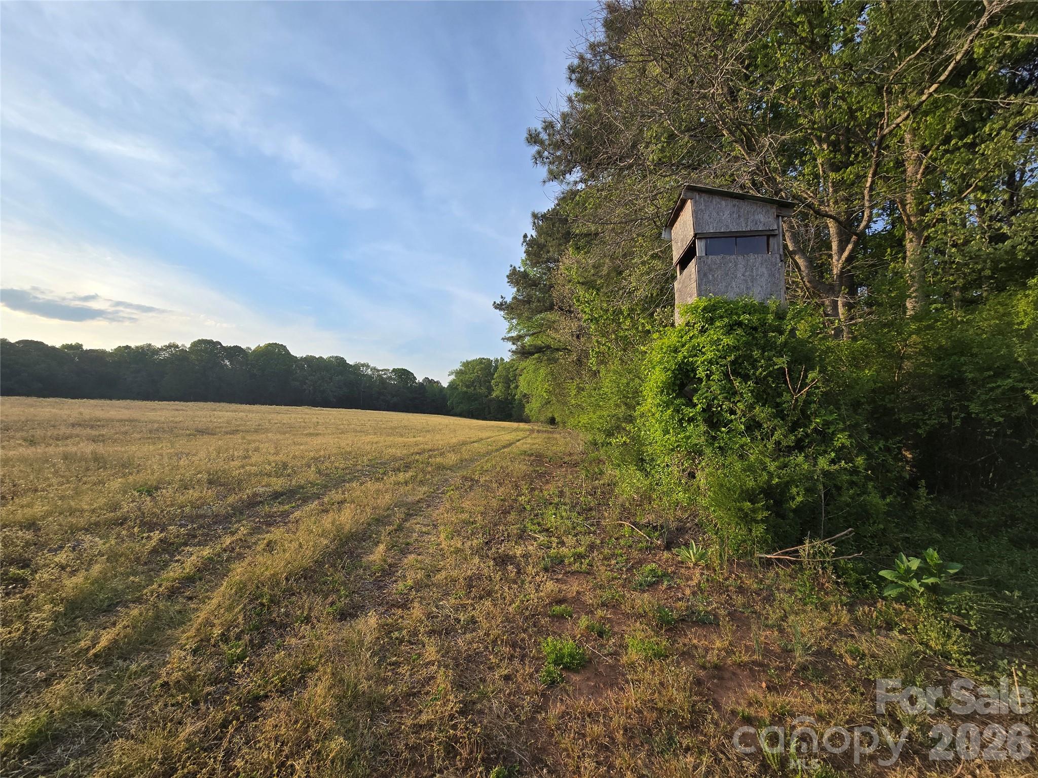 0 Ketchie Road Mount Ulla, NC 28125 - Photo 13 of 31