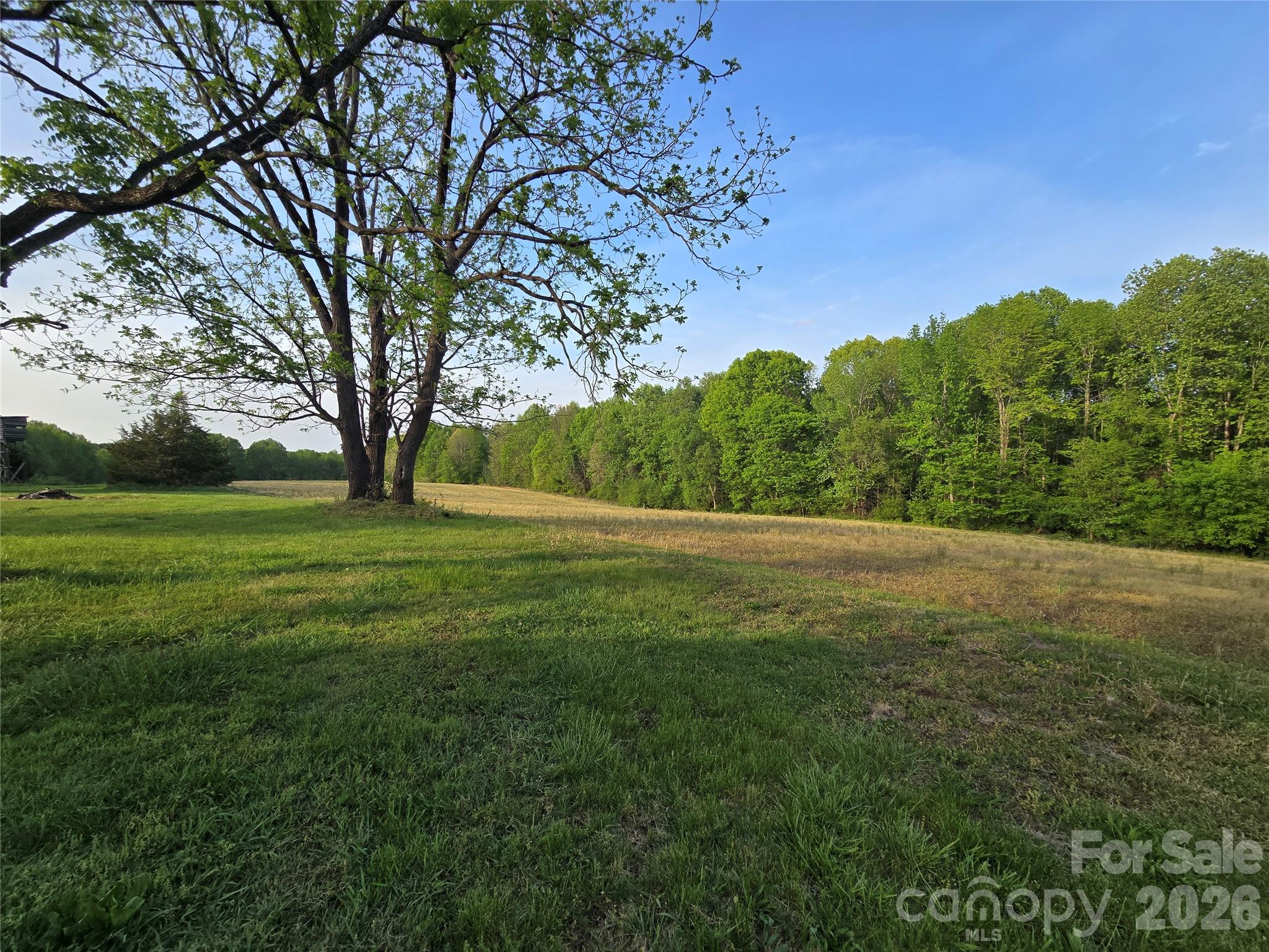 0 Ketchie Road Mount Ulla, NC 28125 - Photo 4 of 31