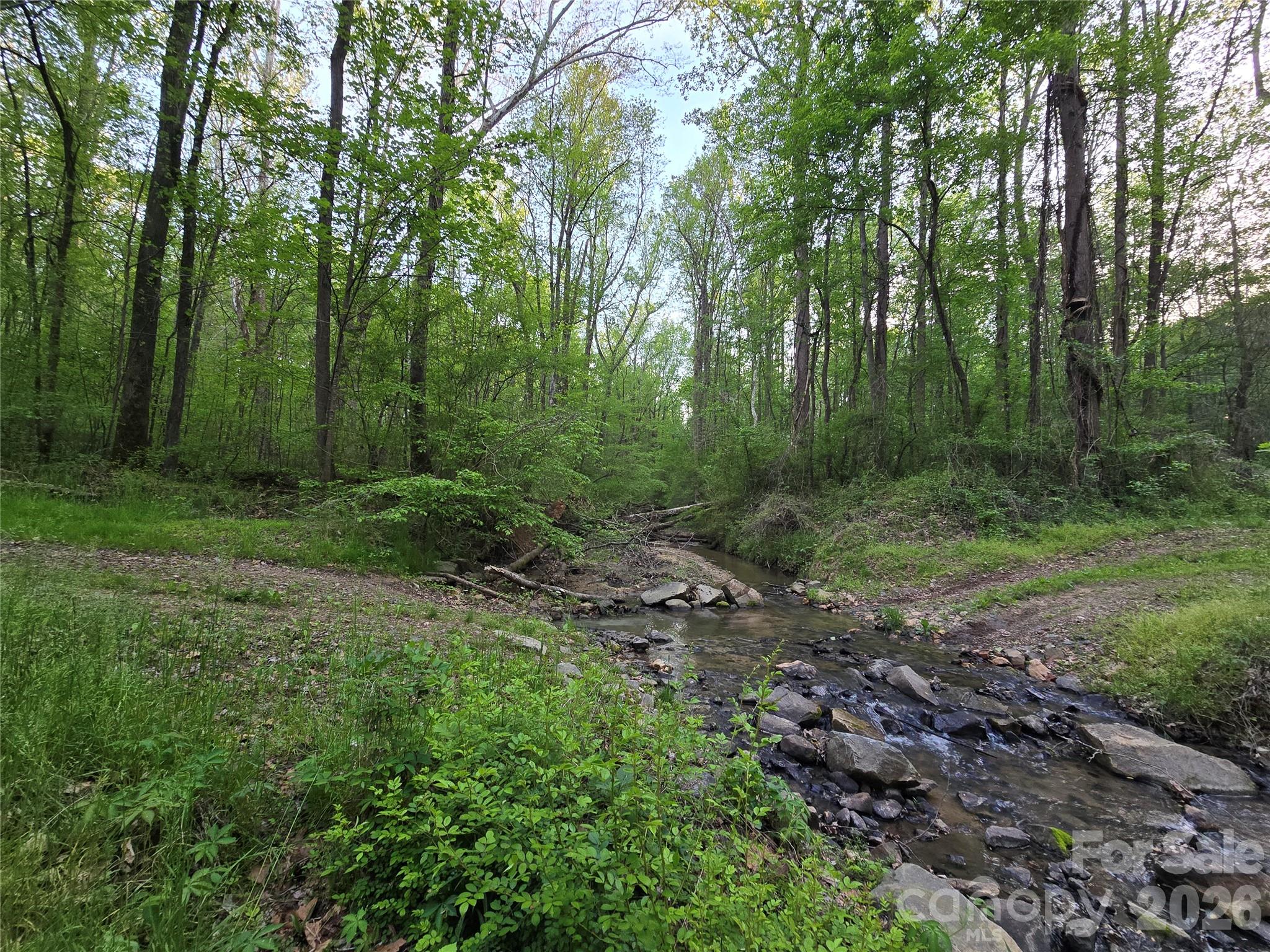 0 Ketchie Road Mount Ulla, NC 28125 - Photo 7 of 31