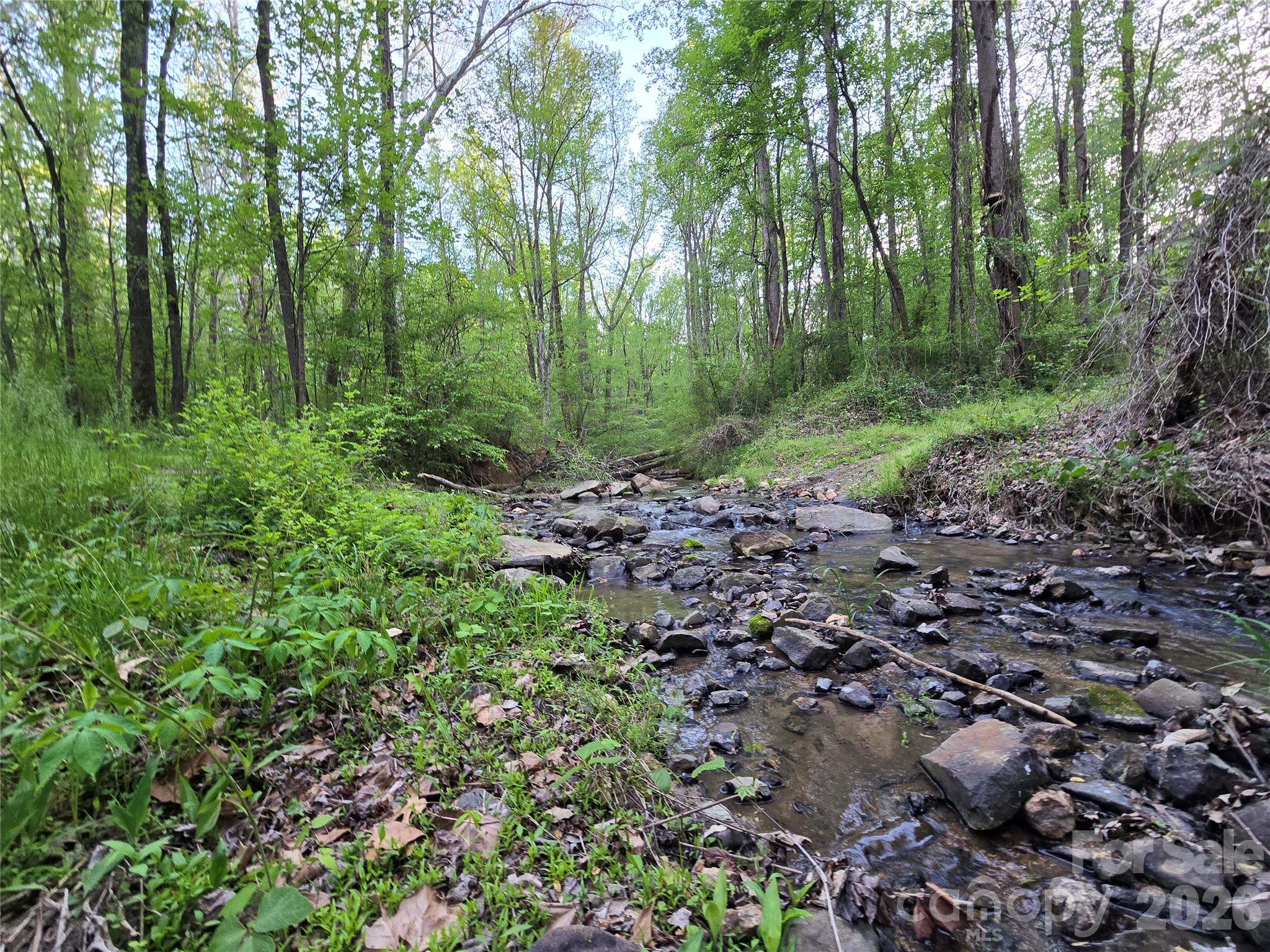 0 Ketchie Road Mount Ulla, NC 28125 - Photo 8 of 31