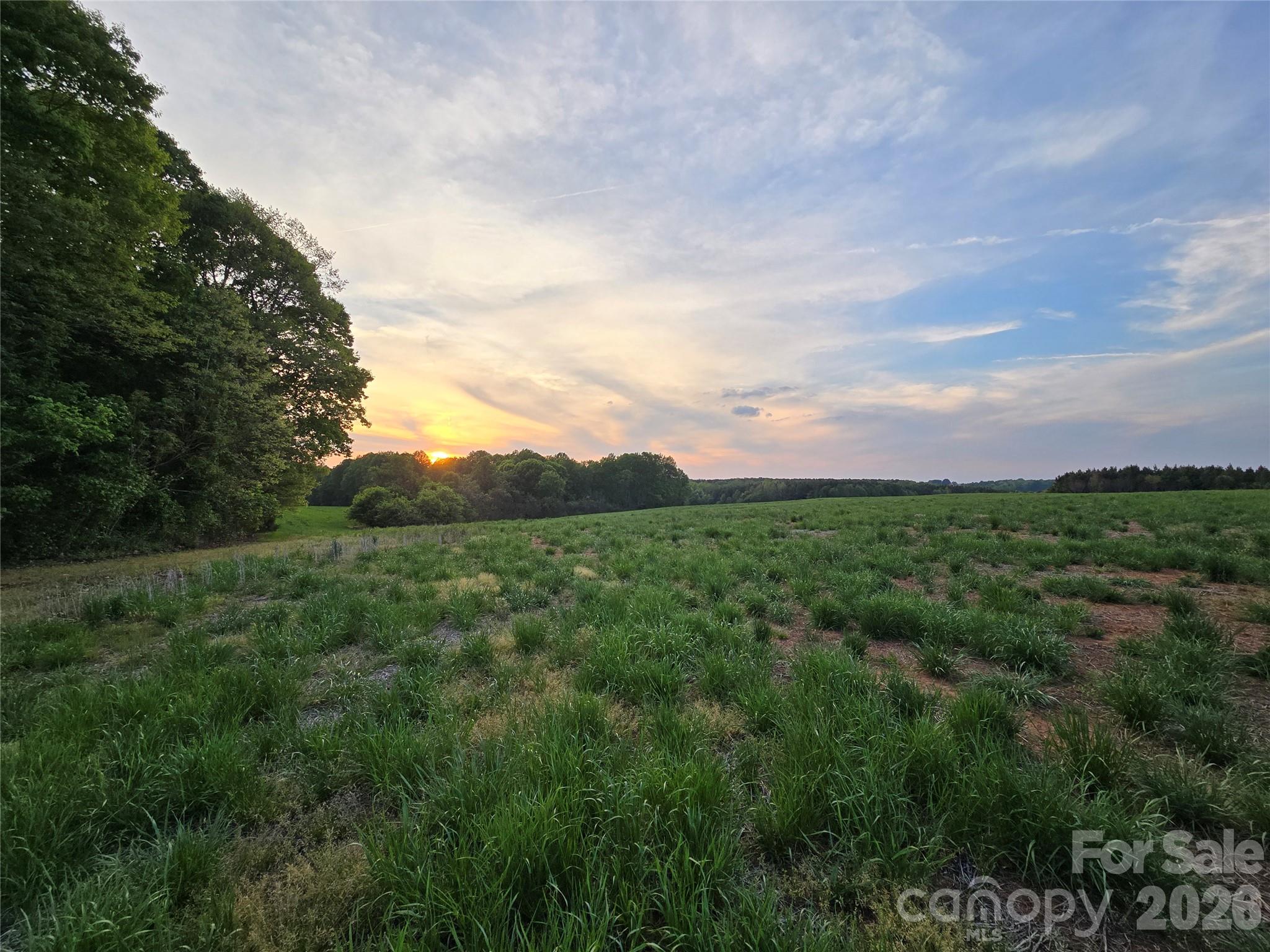 0 Ketchie Road Mount Ulla, NC 28125 - Photo 10 of 31