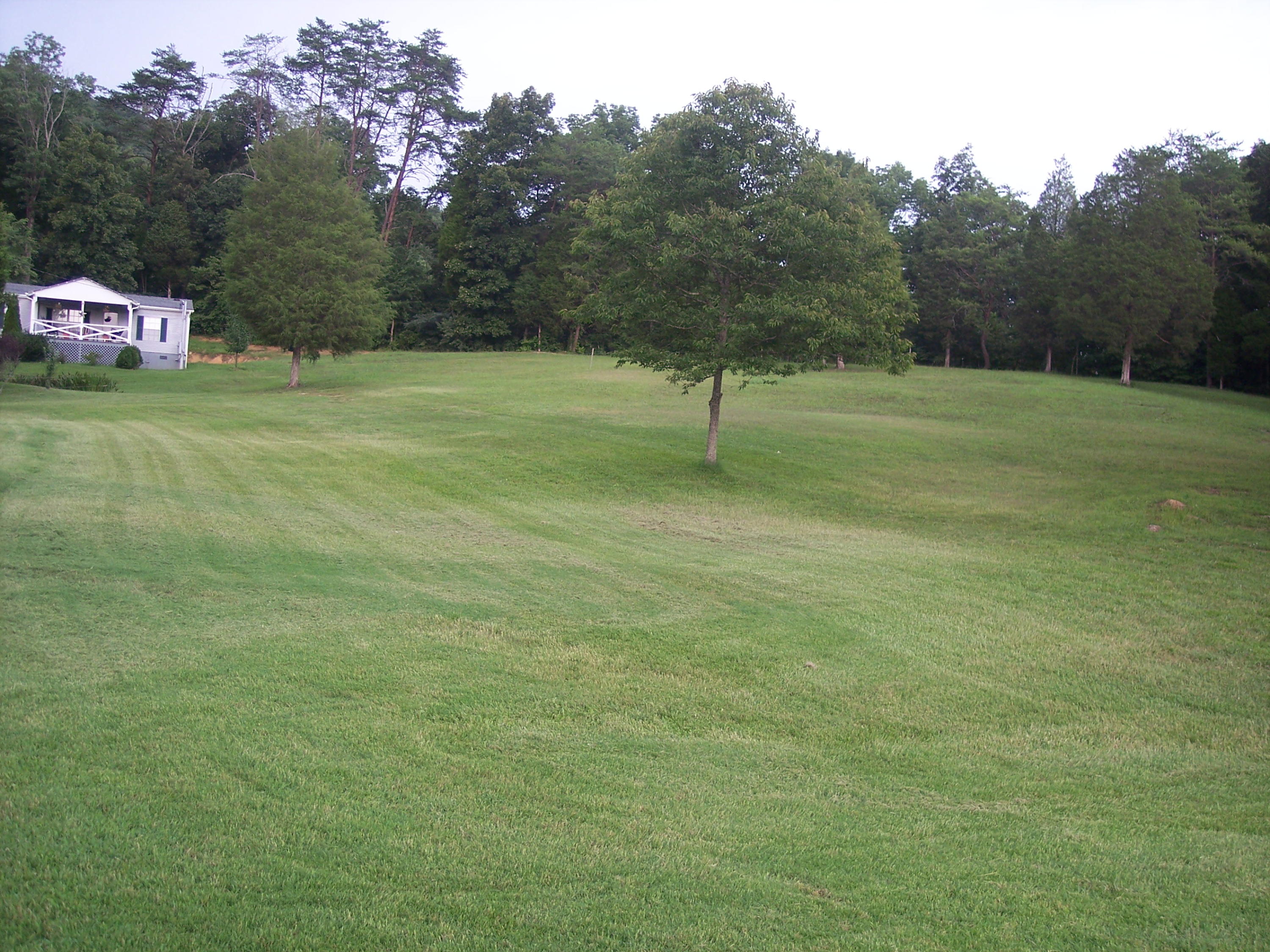 1014 Satterfield Road Maynardville, TN 37807 - Photo 4 of 19 100_5530