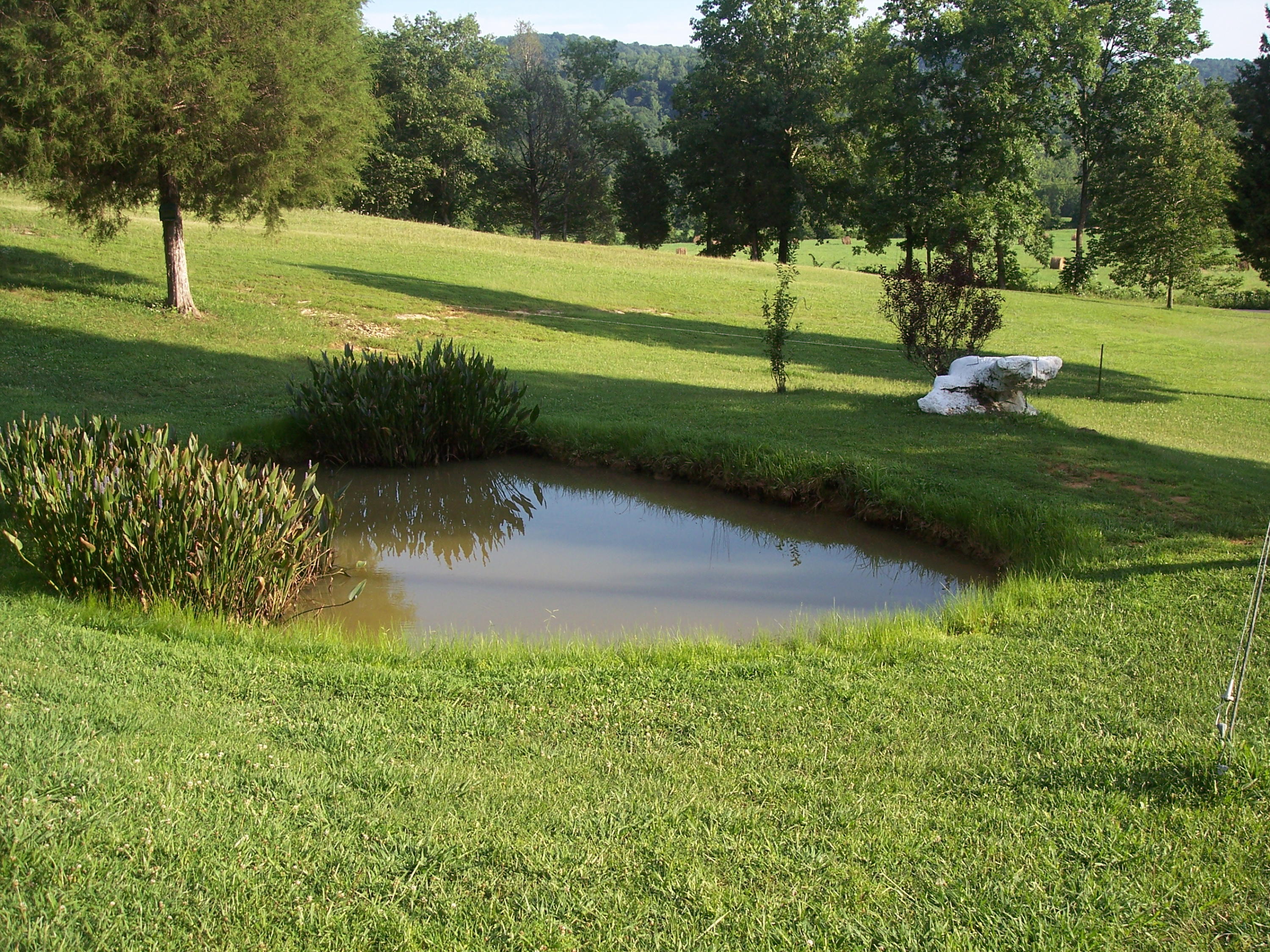 1014 Satterfield Road Maynardville, TN 37807 - Photo 5 of 19 100_5404