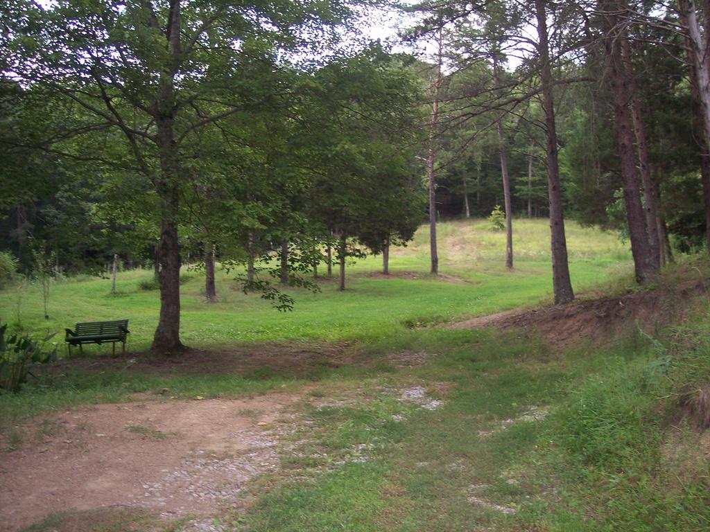 1014 Satterfield Road Maynardville, TN 37807 - Photo 10 of 19 satsell 9
