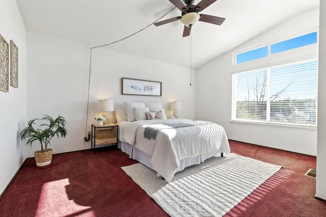 a bedroom with a large bed and a couch