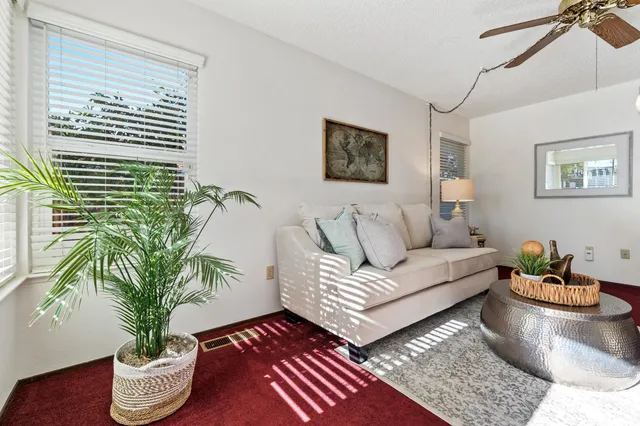a living room with furniture and a potted plant