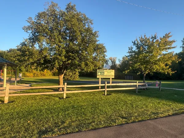 a view of a park with large trees
