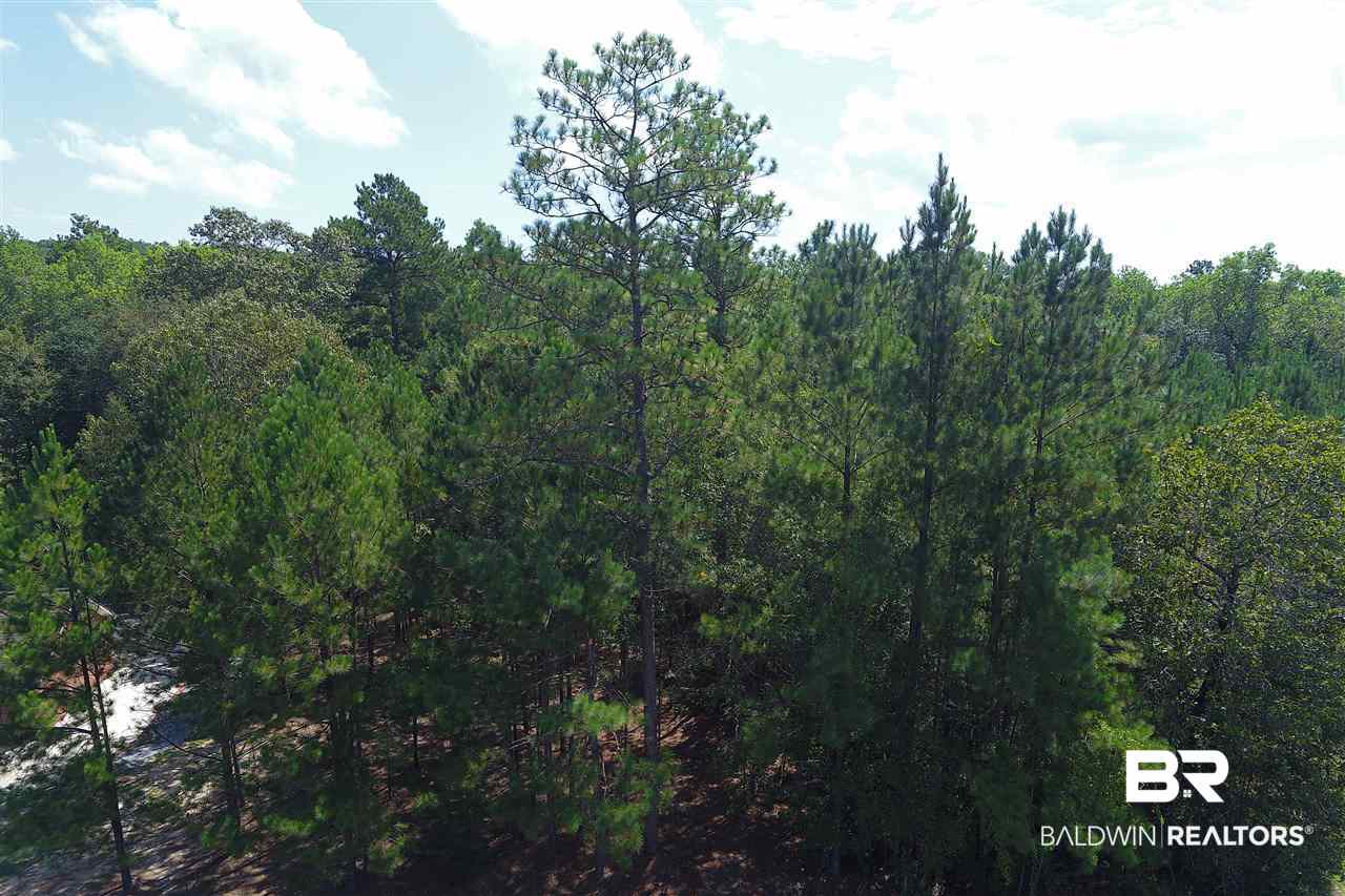 41 Juniper Creek Road Castleberry, AL 36432 - Photo 10 of 10