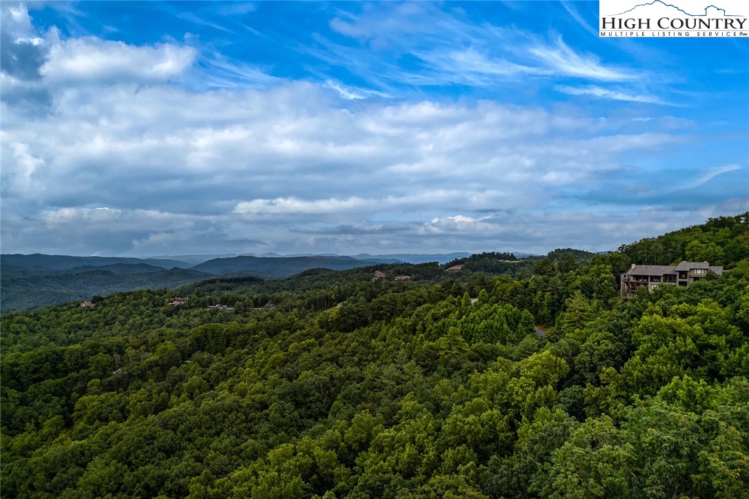 550 Pepperroot Road Boone, NC 28607 - Photo 44 of 50 a view of a bunch of trees and bushes