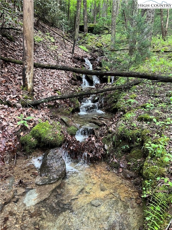 550 Pepperroot Road Boone, NC 28607 - Photo 45 of 50 a view of a garden with a lake