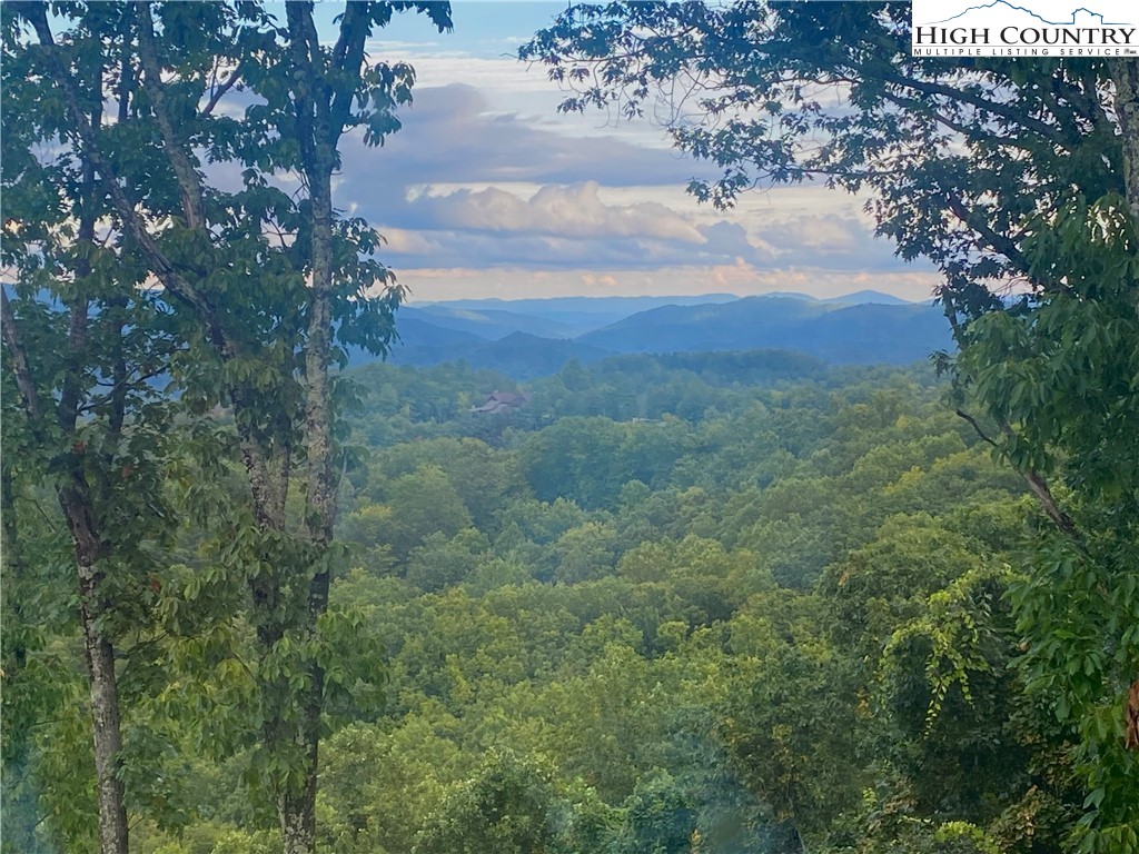 550 Pepperroot Road Boone, NC 28607 - Photo 47 of 50