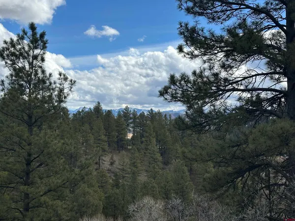 $985,000 | 326 Mesa Drive, Pagosa Springs, CO 81147