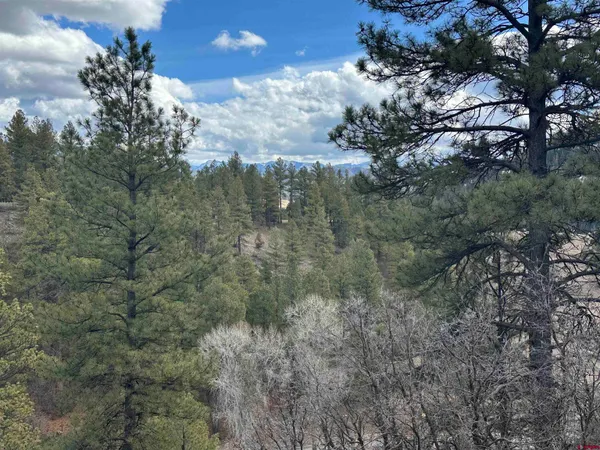 $985,000 | 326 Mesa Drive, Pagosa Springs, CO 81147