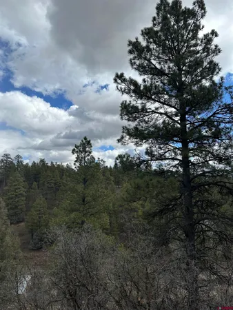 $985,000 | 326 Mesa Drive, Pagosa Springs, CO 81147