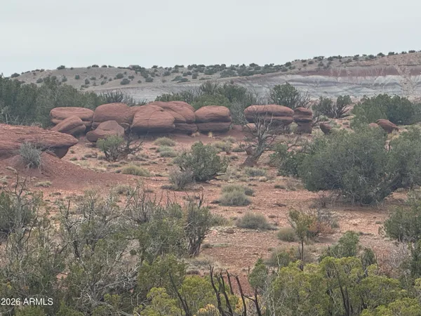 $30,000 | Lot 222 River Springs Ranch, Unit 222, St. Johns, AZ 85936
