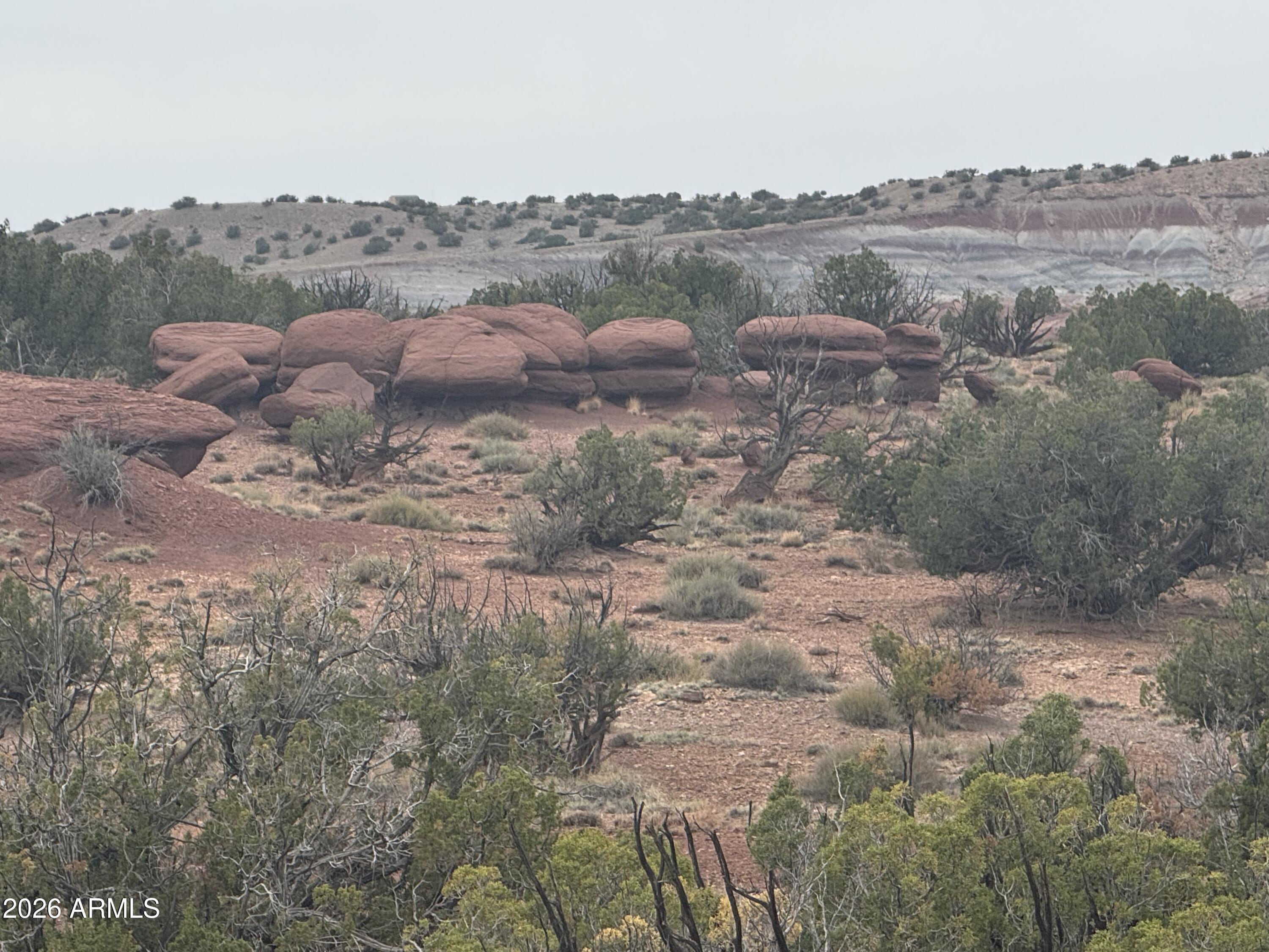 Lot 222 River Springs Ranch, Unit 222 St. Johns, AZ 85936 - Photo 1 of 19 a view of a dry yard with trees