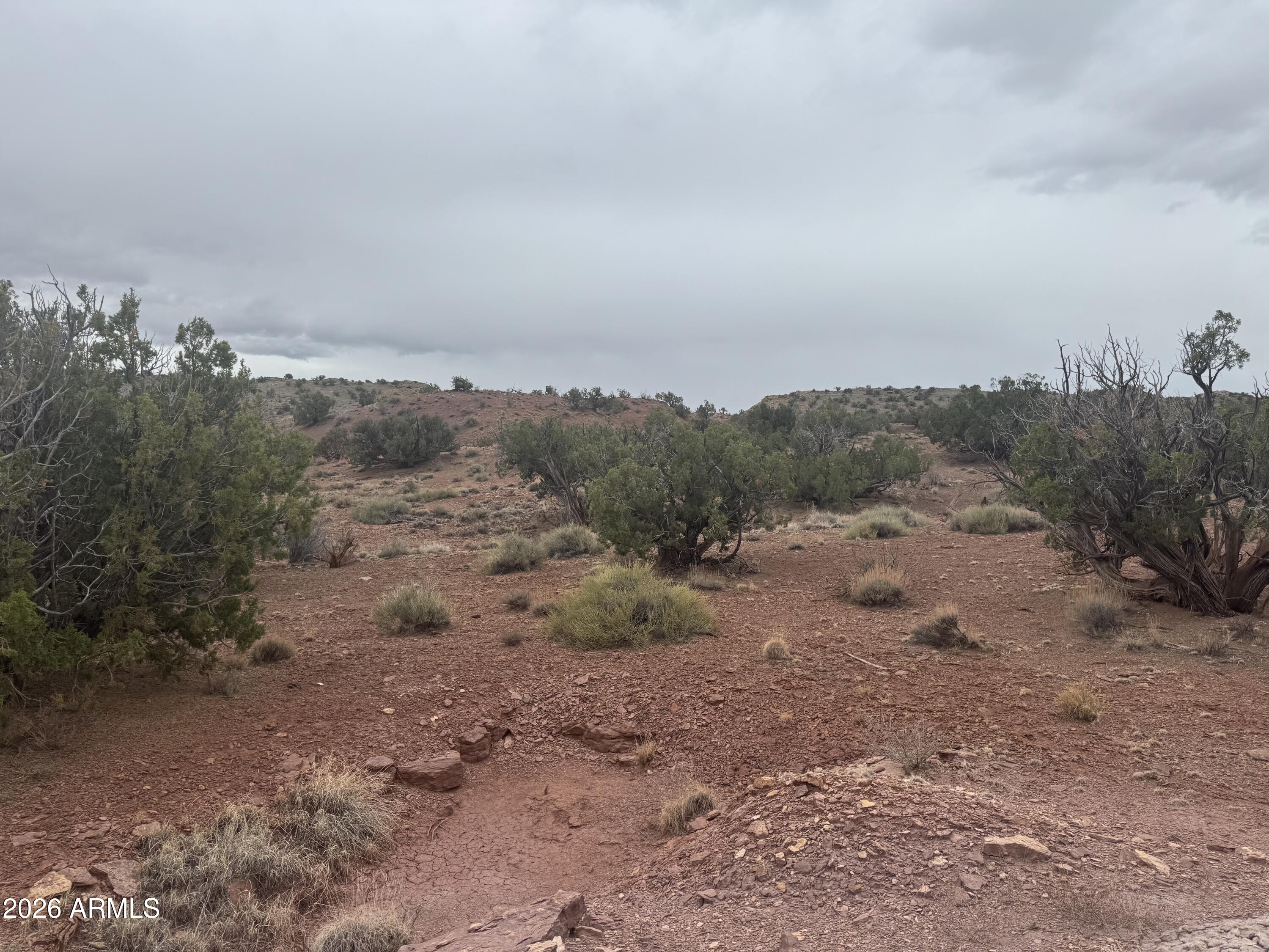 Lot 222 River Springs Ranch, Unit 222 St. Johns, AZ 85936 - Photo 11 of 19 a view of a dry yard with lots of trees