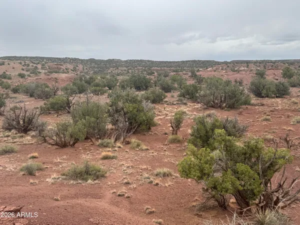 a view of a dry yard with mountains in the background