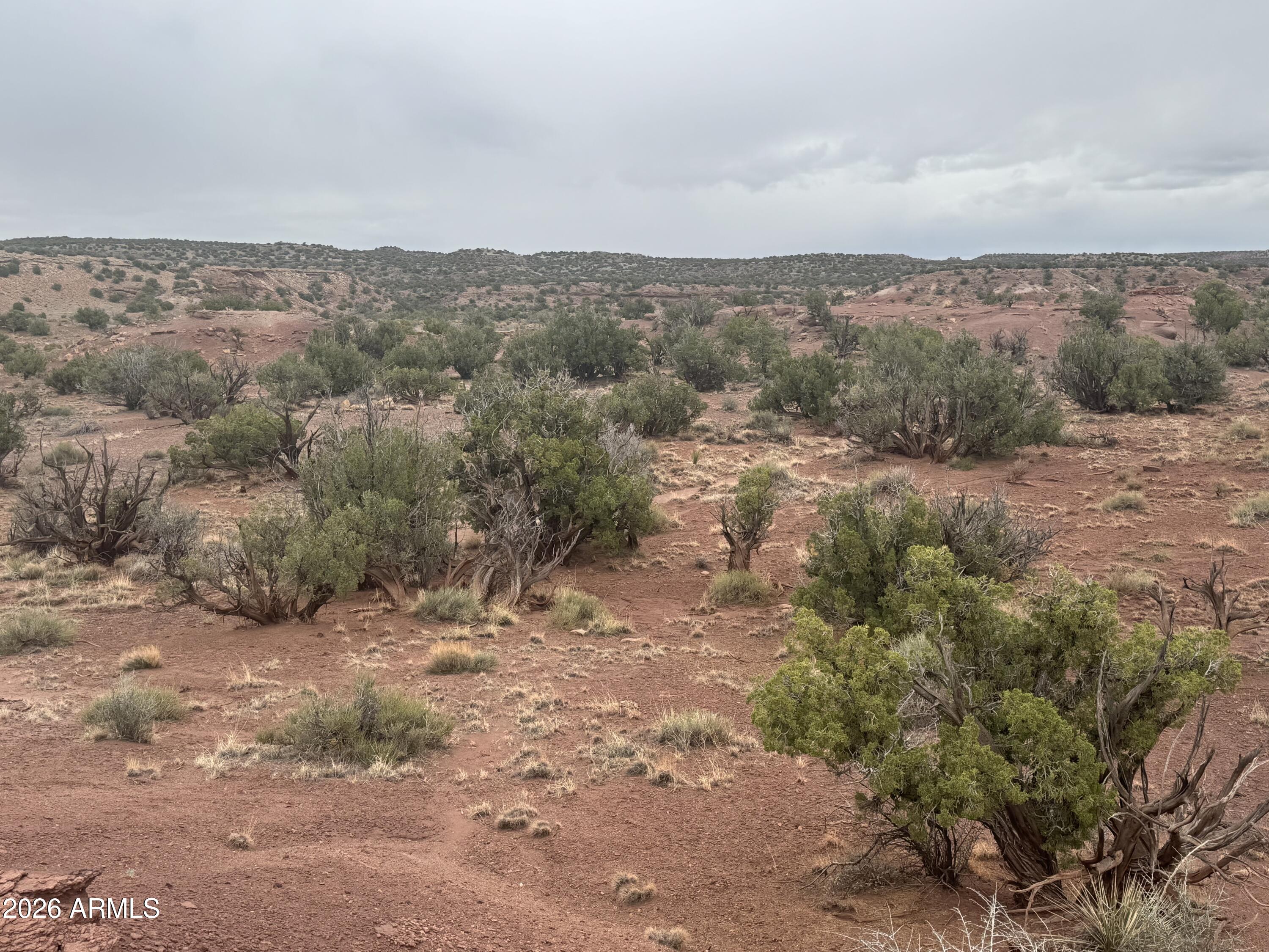 Lot 222 River Springs Ranch, Unit 222 St. Johns, AZ 85936 - Photo 14 of 19 a view of a dry yard with mountains in the background