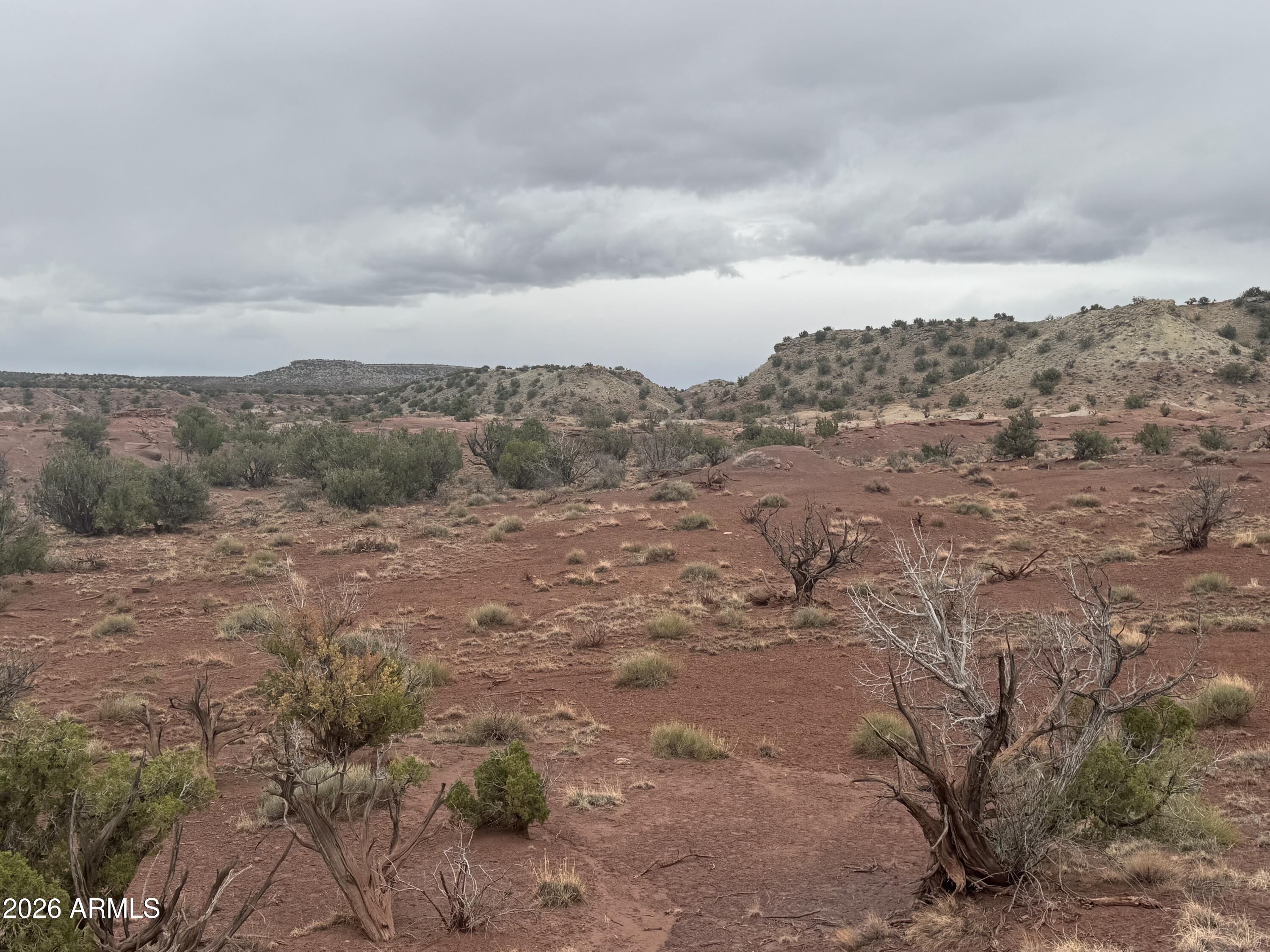 Lot 222 River Springs Ranch, Unit 222 St. Johns, AZ 85936 - Photo 15 of 19 a view of a dry space with lots of trees