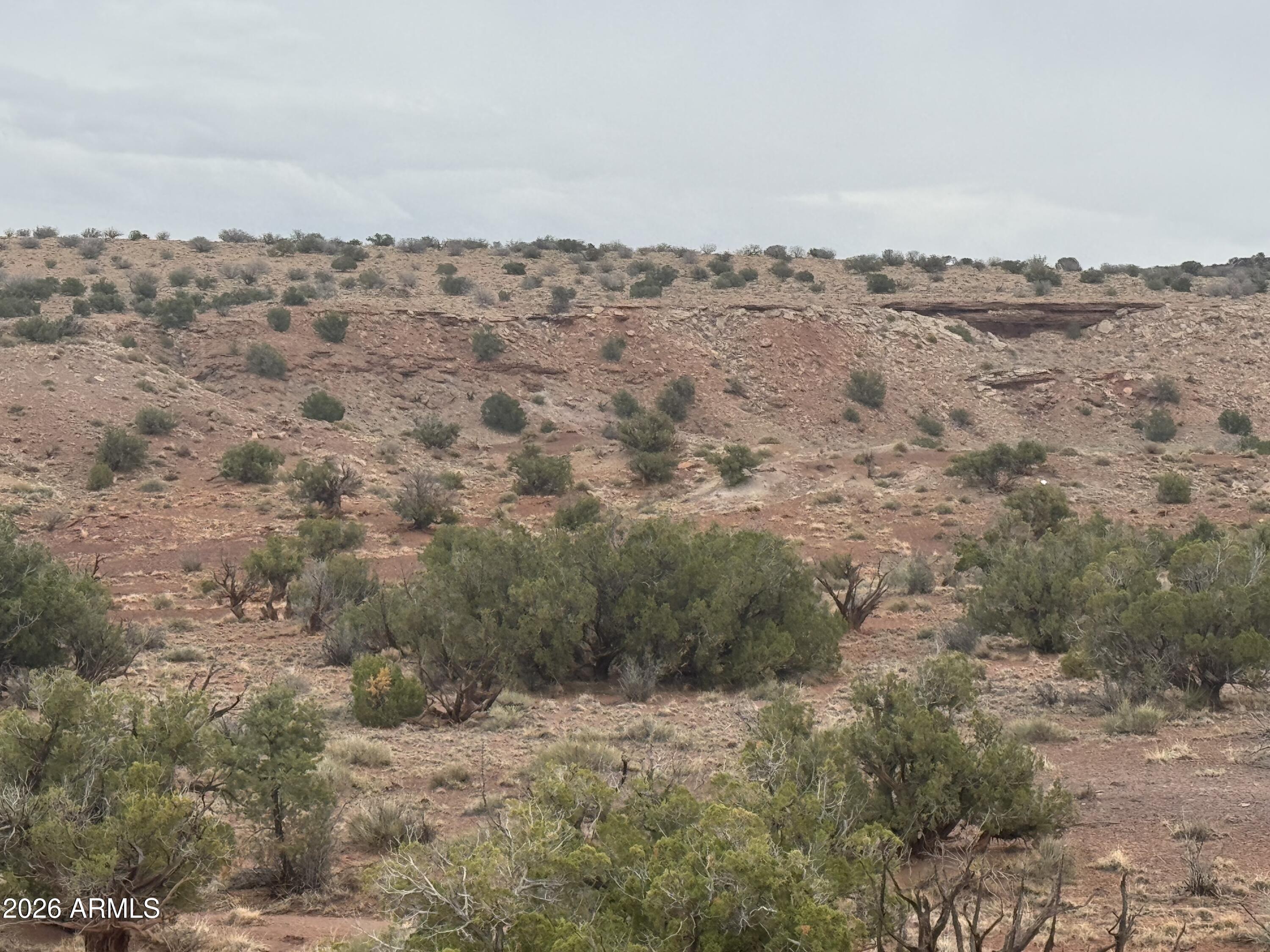 Lot 222 River Springs Ranch, Unit 222 St. Johns, AZ 85936 - Photo 17 of 19 a view of a dry yard with trees in the background