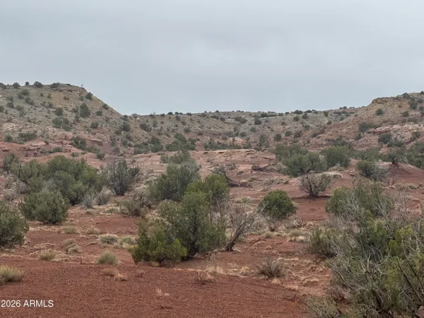 a view of a dry field