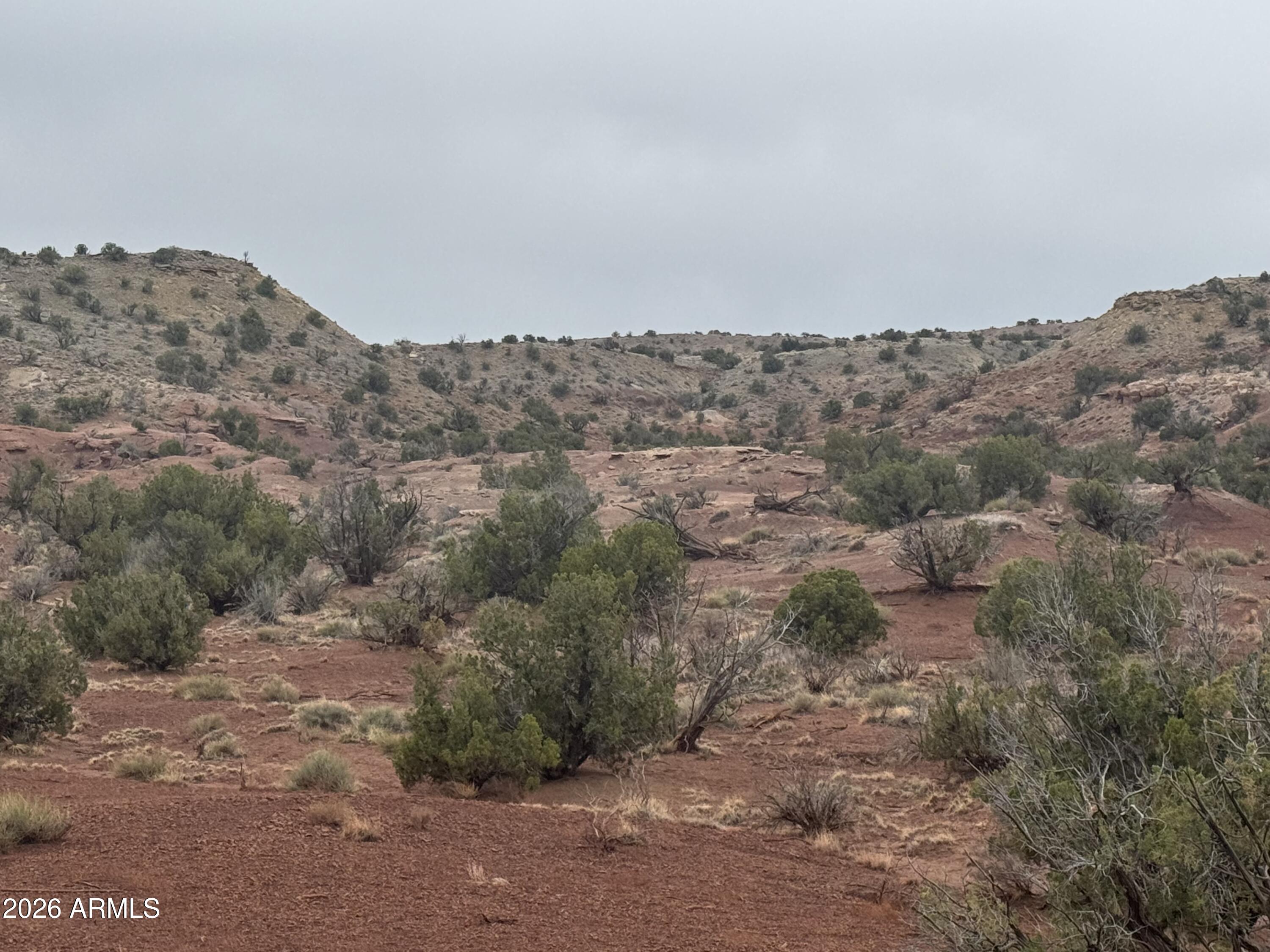 Lot 222 River Springs Ranch, Unit 222 St. Johns, AZ 85936 - Photo 18 of 19 a view of a dry field