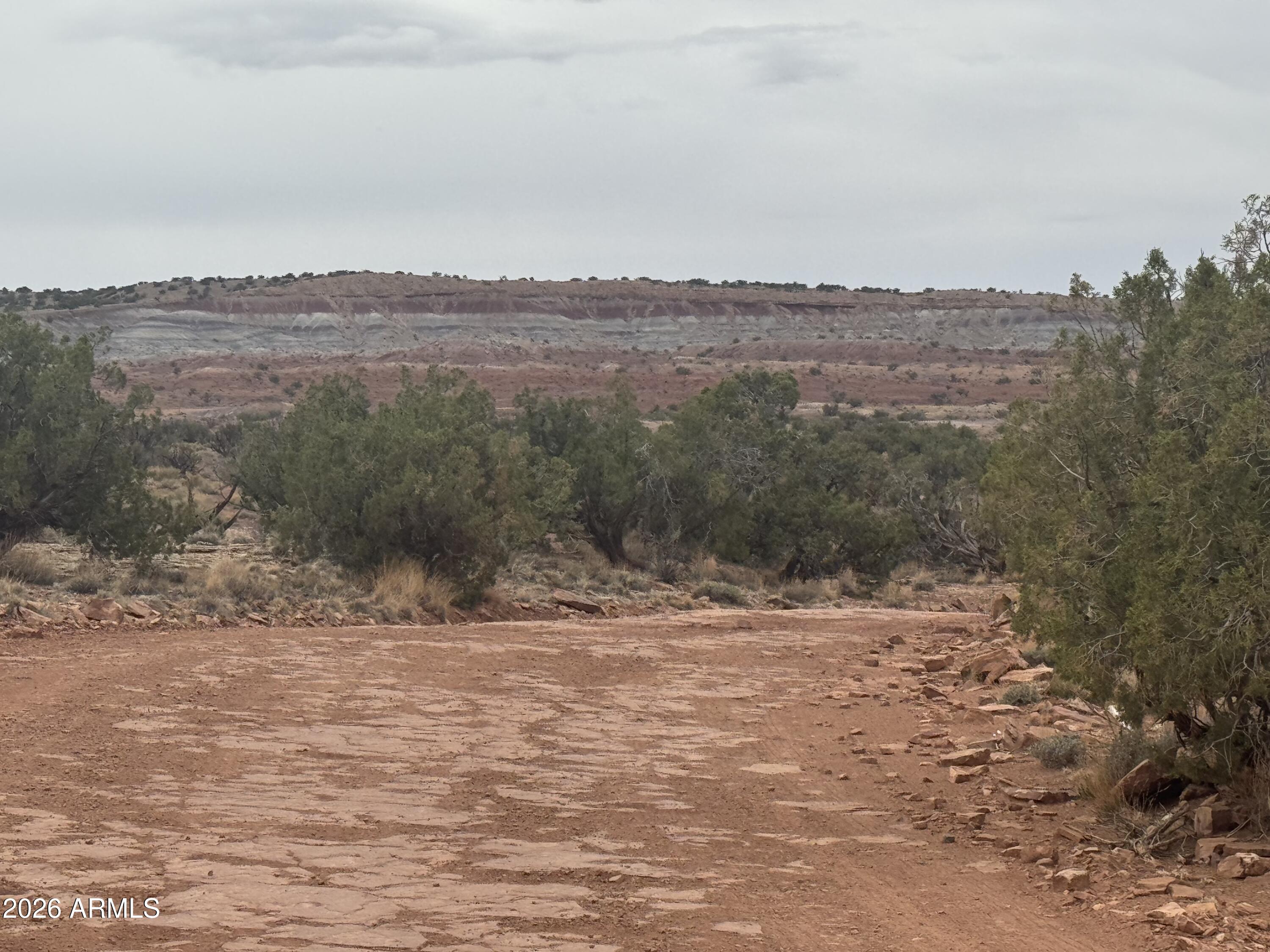 Lot 222 River Springs Ranch, Unit 222 St. Johns, AZ 85936 - Photo 19 of 19 a view of a dry yard