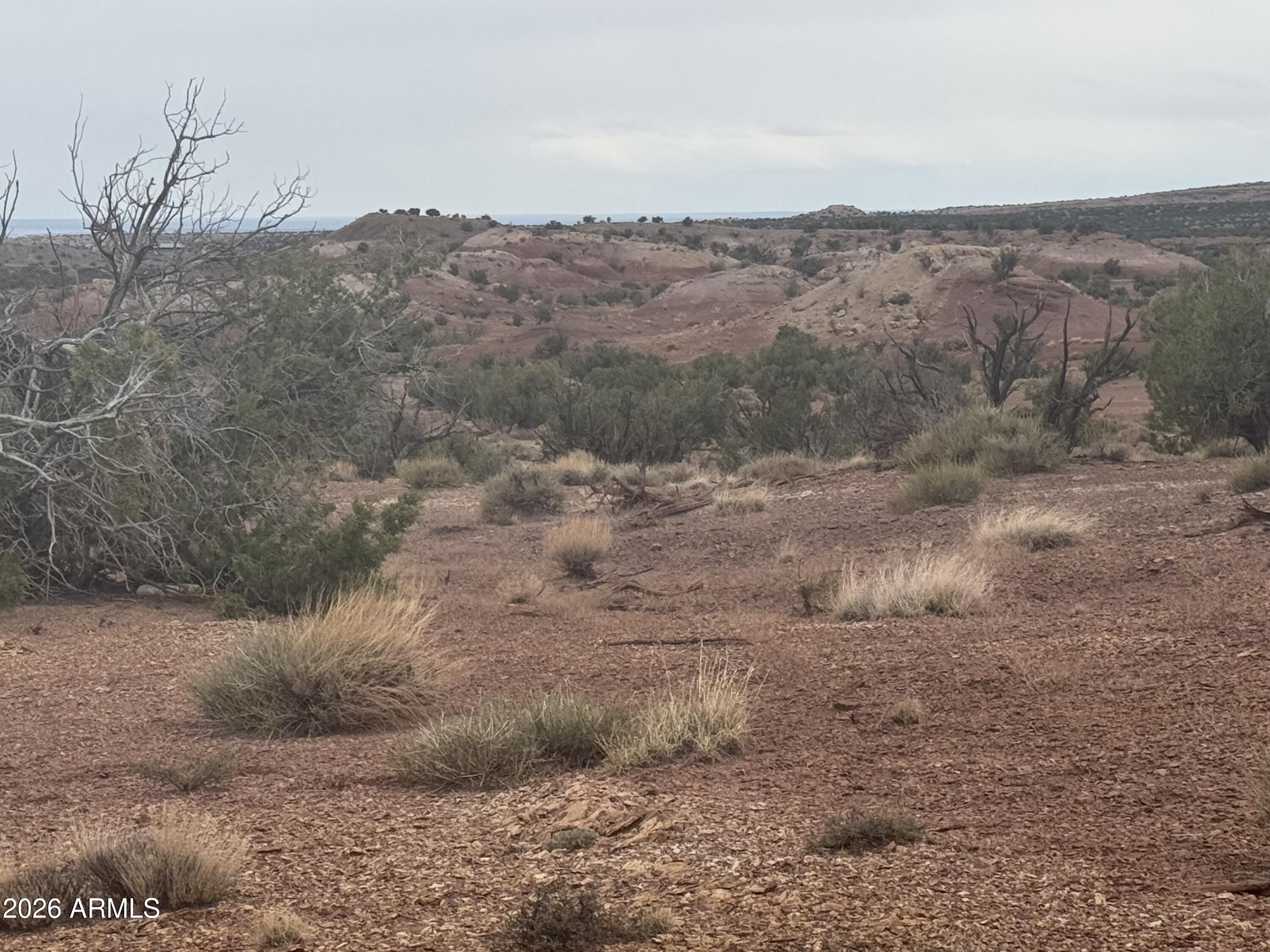 Lot 222 River Springs Ranch, Unit 222 St. Johns, AZ 85936 - Photo 4 of 19 a view of a yard with a mountain