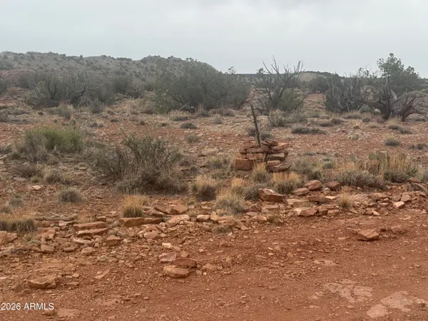 a view of a dry yard with mountains in the background