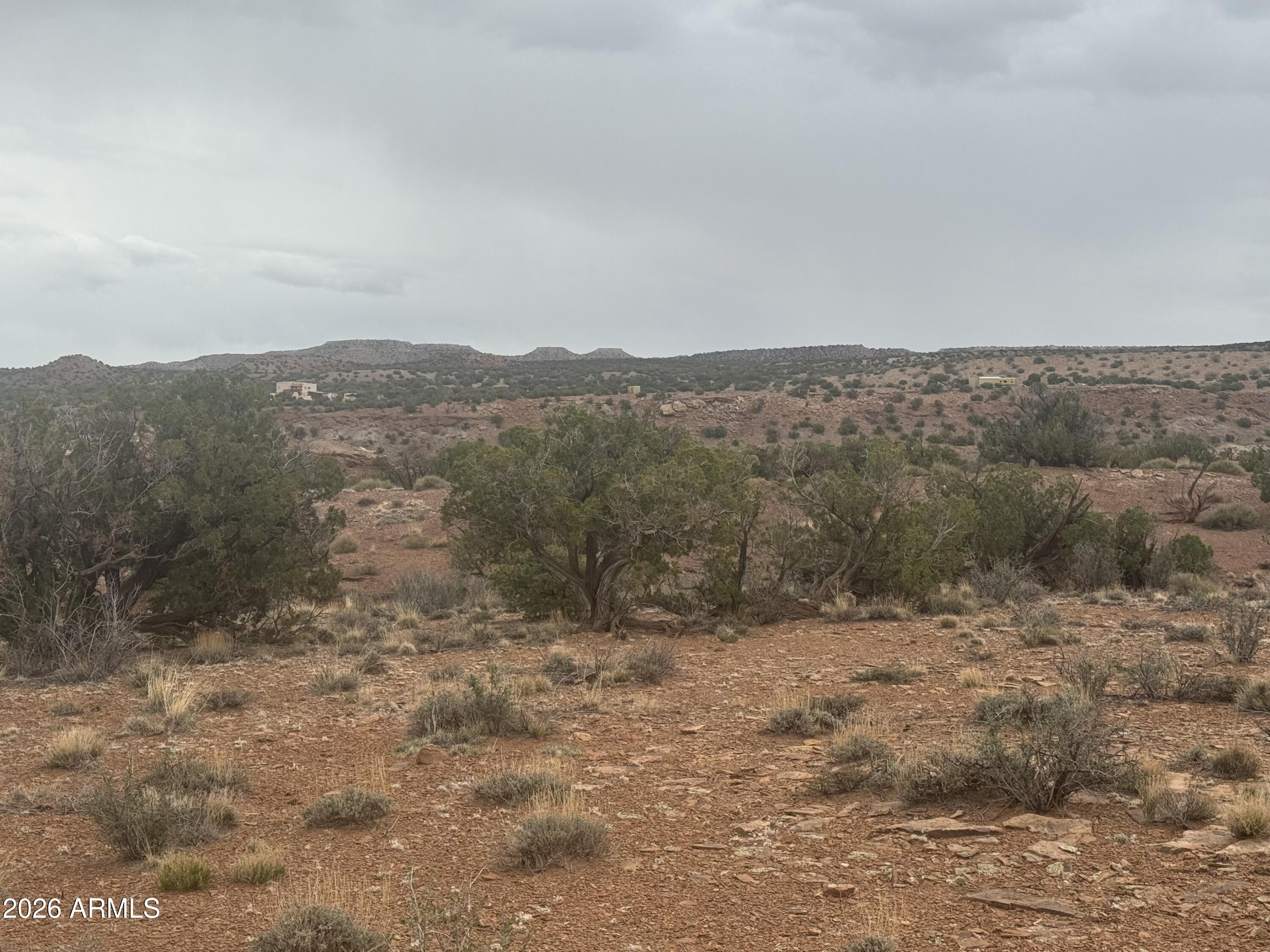 Lot 222 River Springs Ranch, Unit 222 St. Johns, AZ 85936 - Photo 6 of 19 a view of outdoor space and mountain view