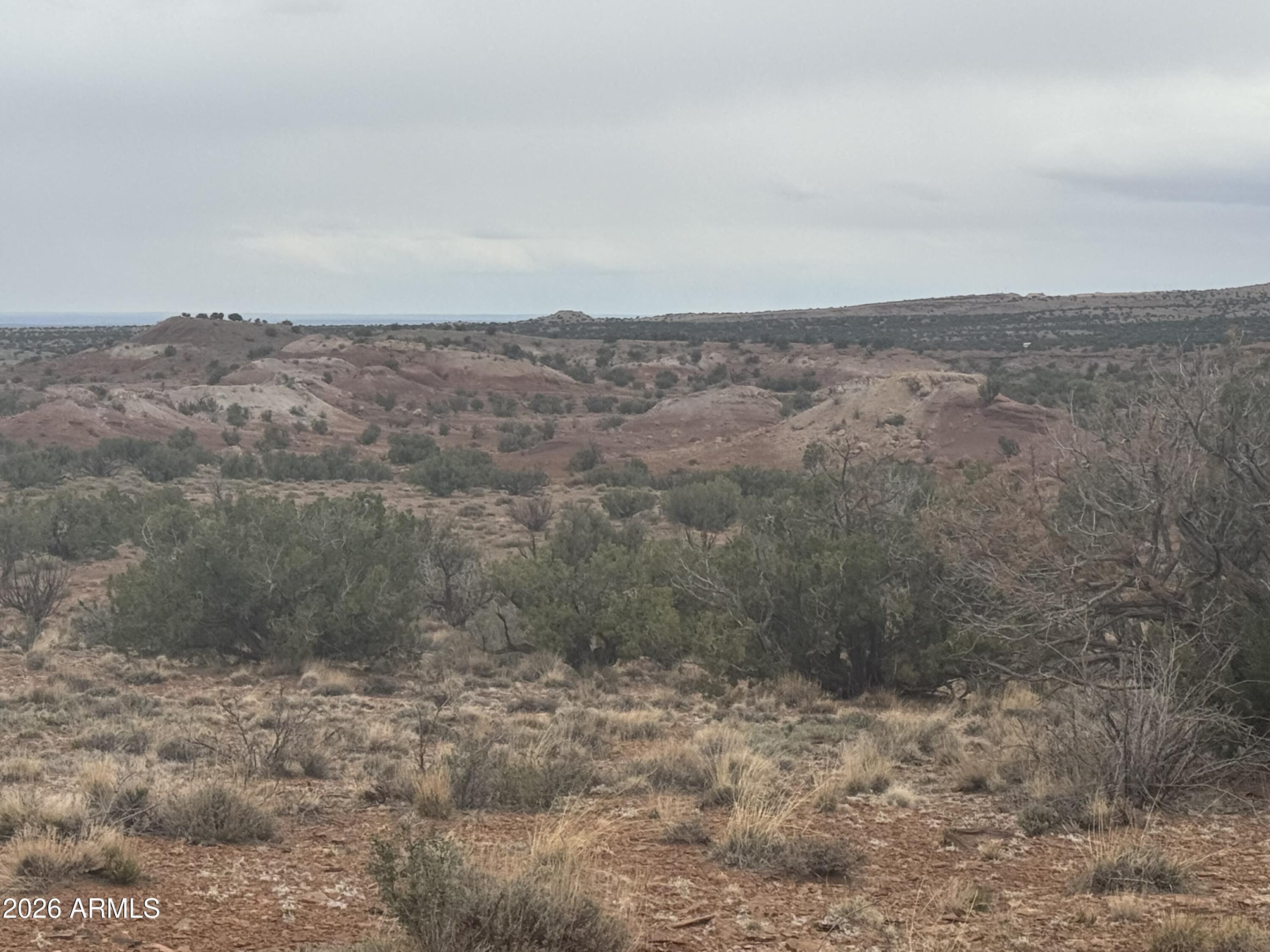 Lot 222 River Springs Ranch, Unit 222 St. Johns, AZ 85936 - Photo 7 of 19 a view of a dry yard with trees in the background