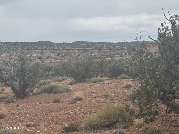 a view of a dry yard with wooden fence