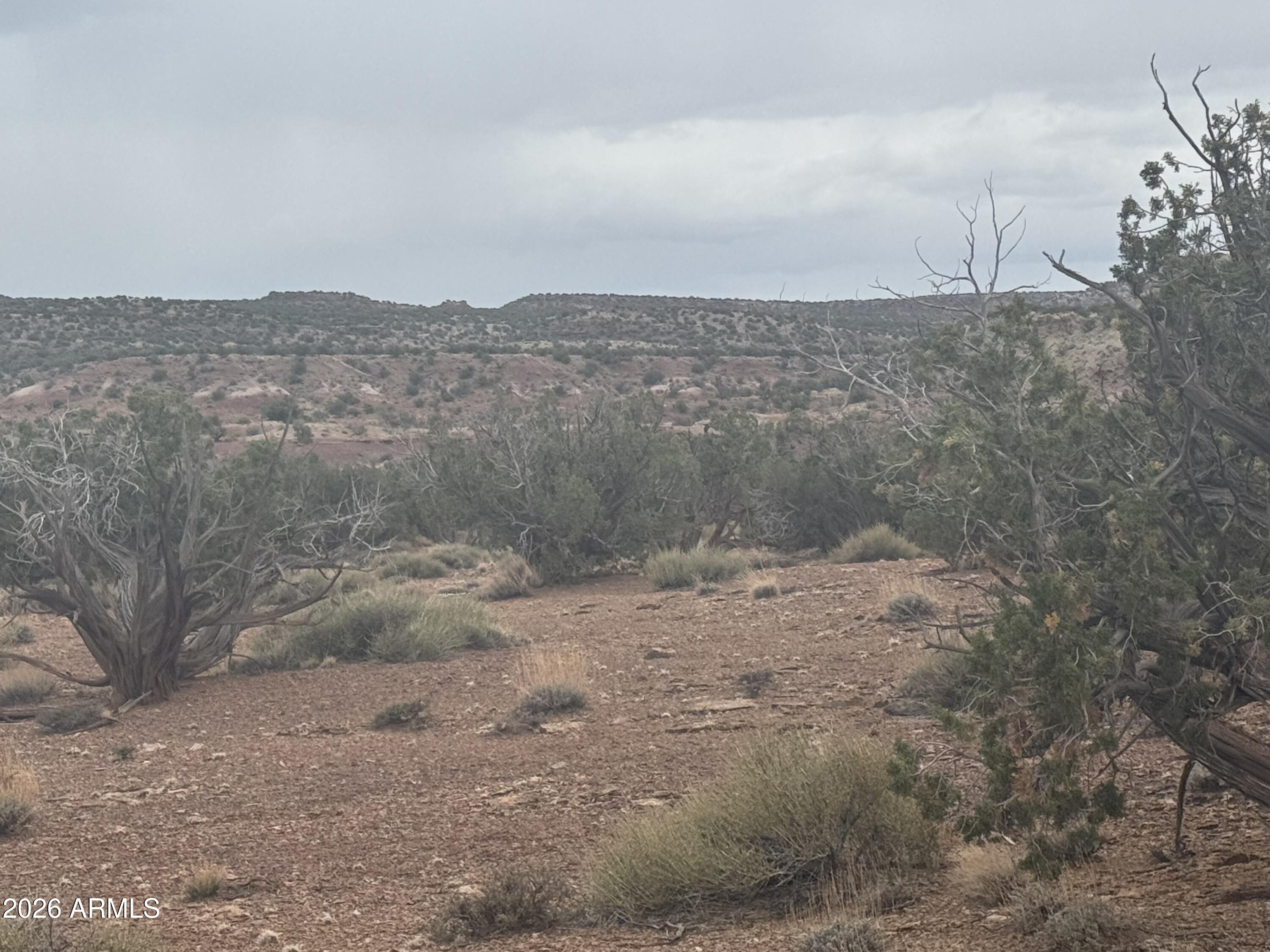 Lot 222 River Springs Ranch, Unit 222 St. Johns, AZ 85936 - Photo 8 of 19 a view of a dry yard with wooden fence